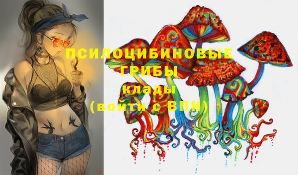 мет Кулебаки
