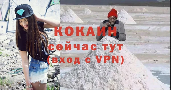винт Лабытнанги